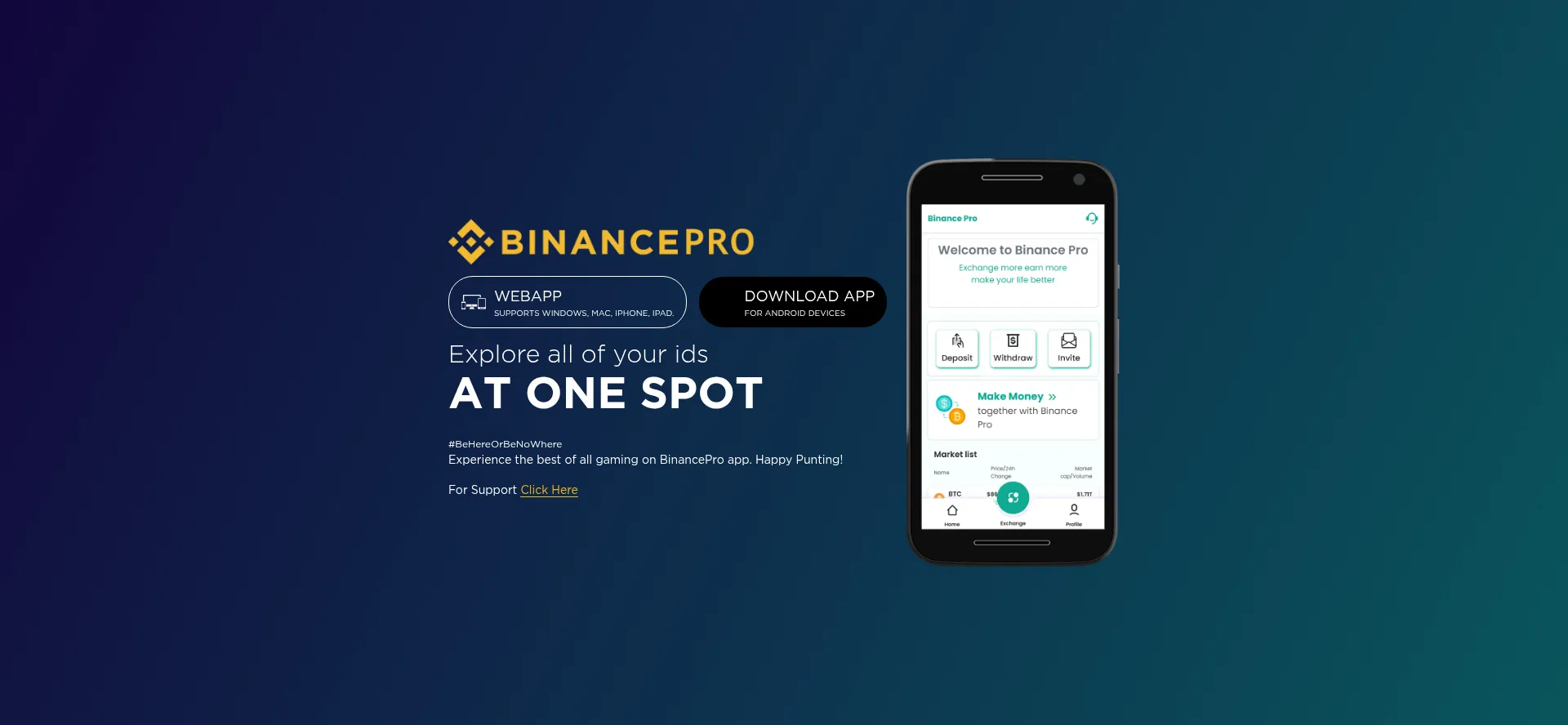 Binancepro.live