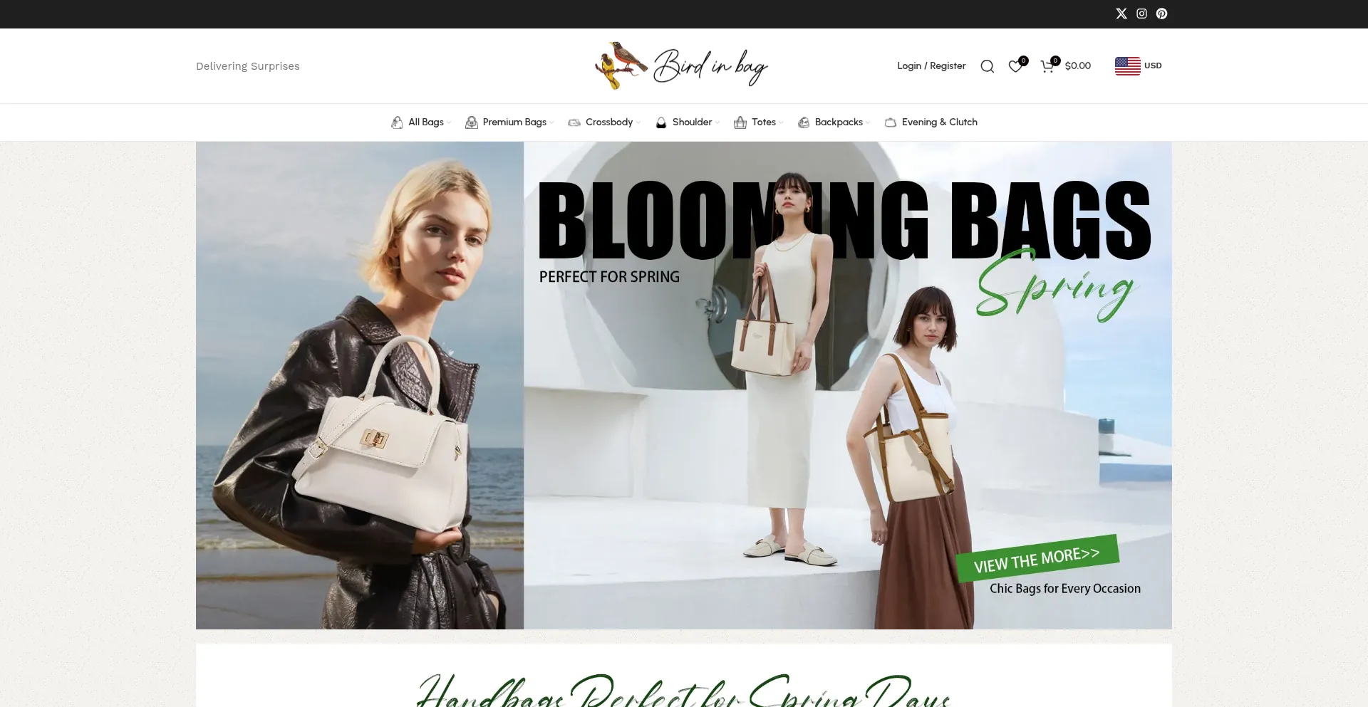 Website screenshot of Birdinbag.com