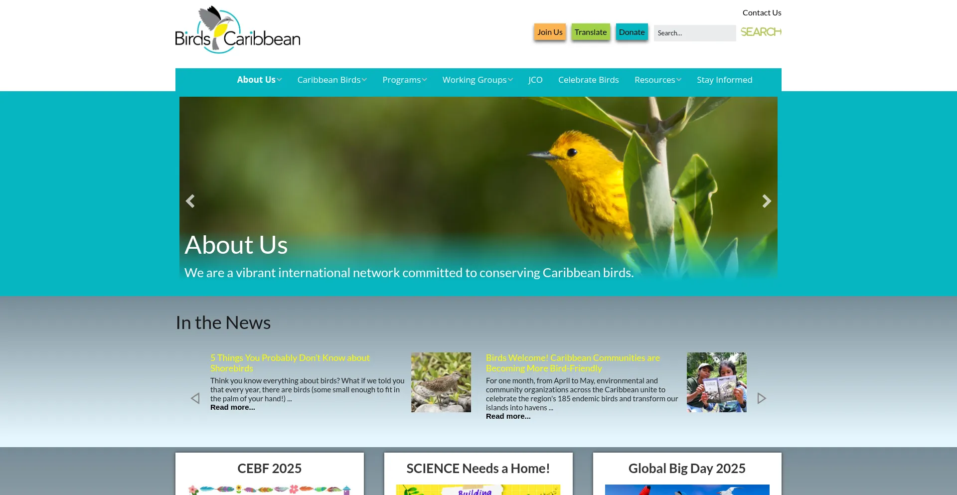 Website screenshot of Birdscaribbean.org