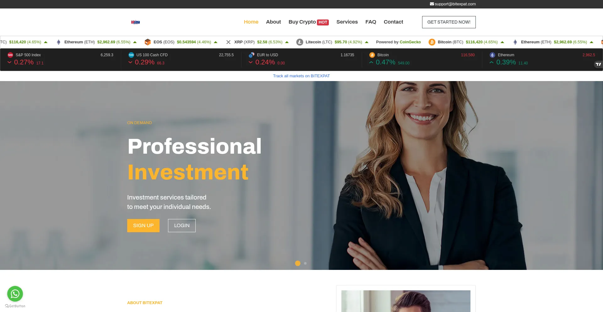 Website screenshot of Bitexpat.com