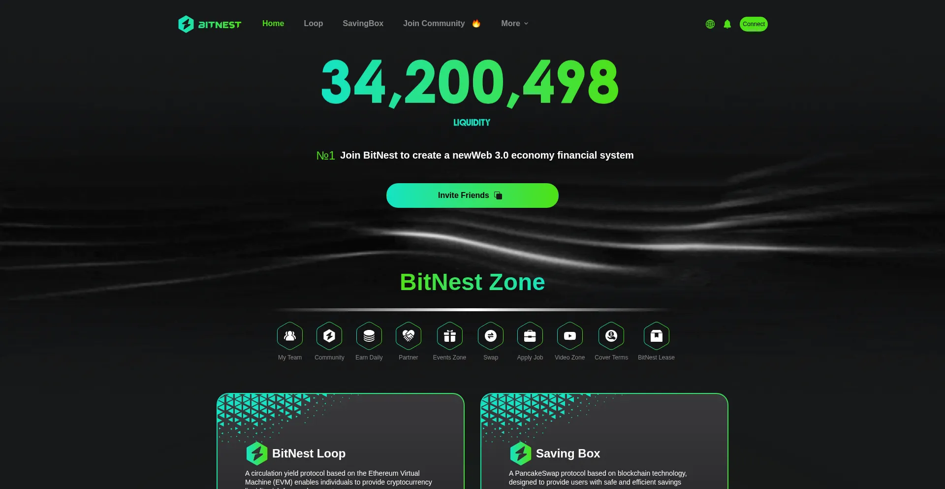 Website screenshot of Bitnest.so