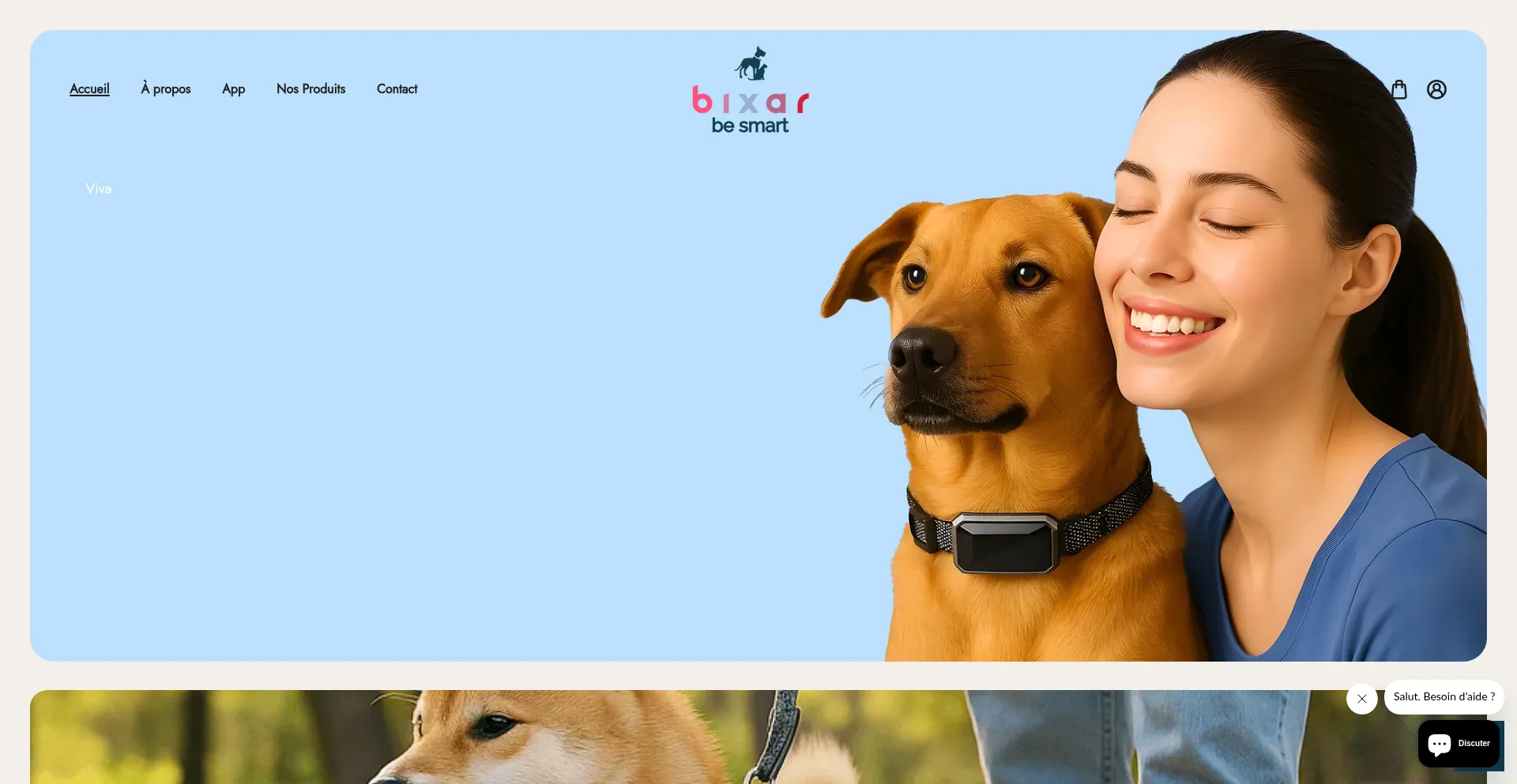 Bixar.co Screenshot