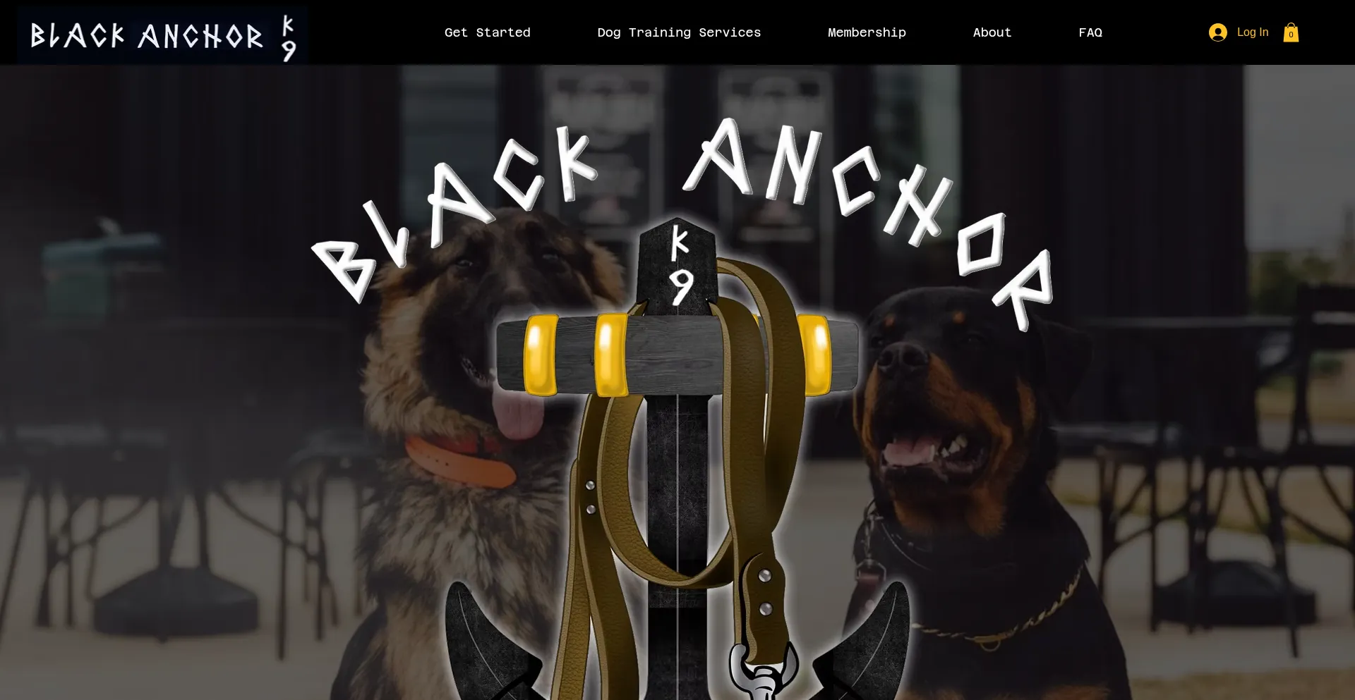Website screenshot of Blackanchork9.com