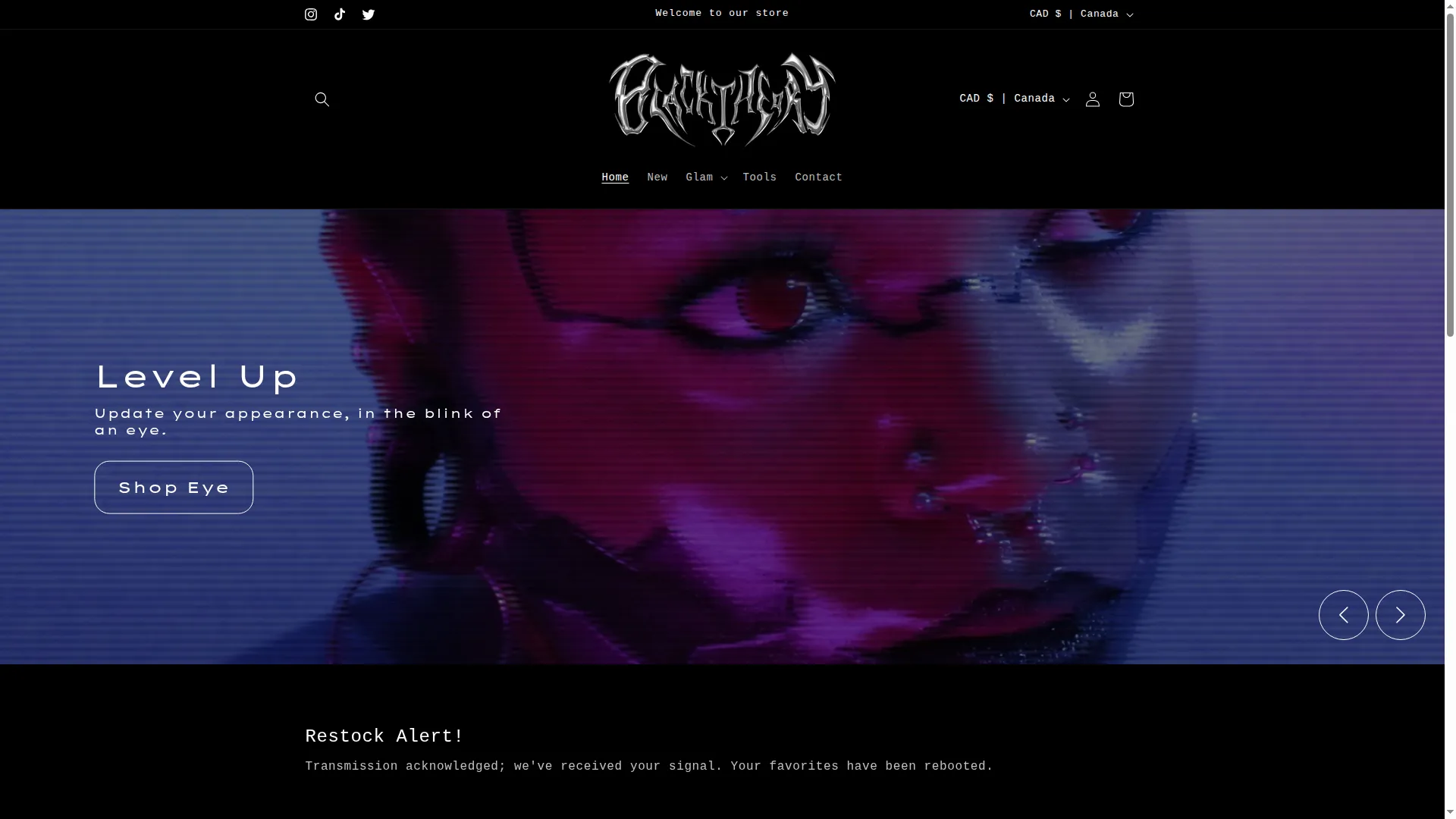 Blacktheorycosmetics.com