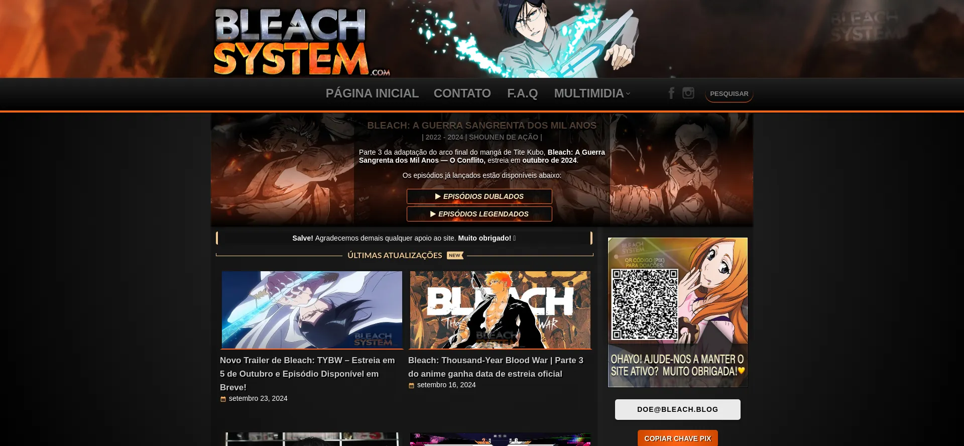 Bleachsystem.com