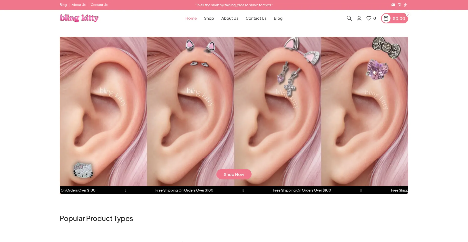 Website screenshot of Blingkittyjewelry.com
