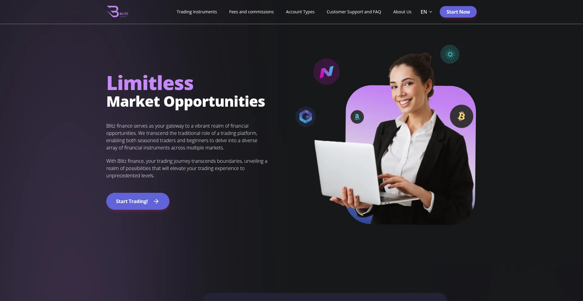 Website screenshot of Blitz365finance.org