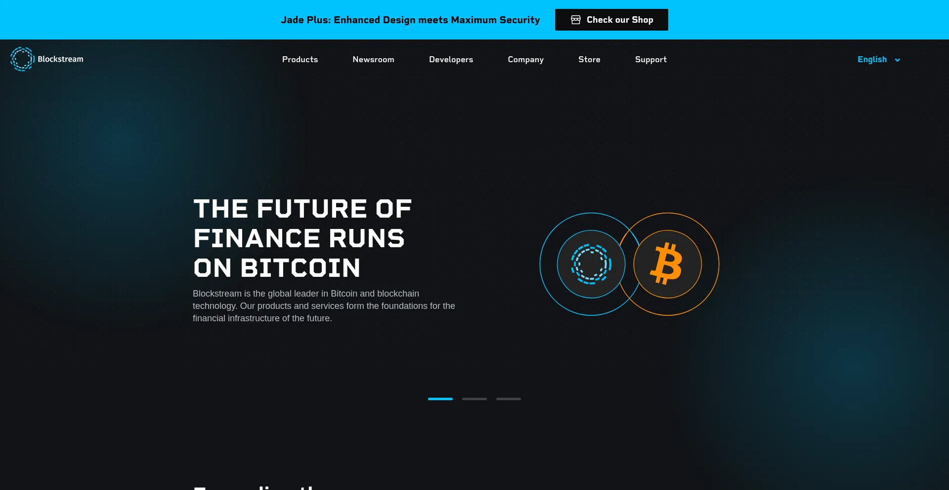 Website screenshot of Blkstrm.com