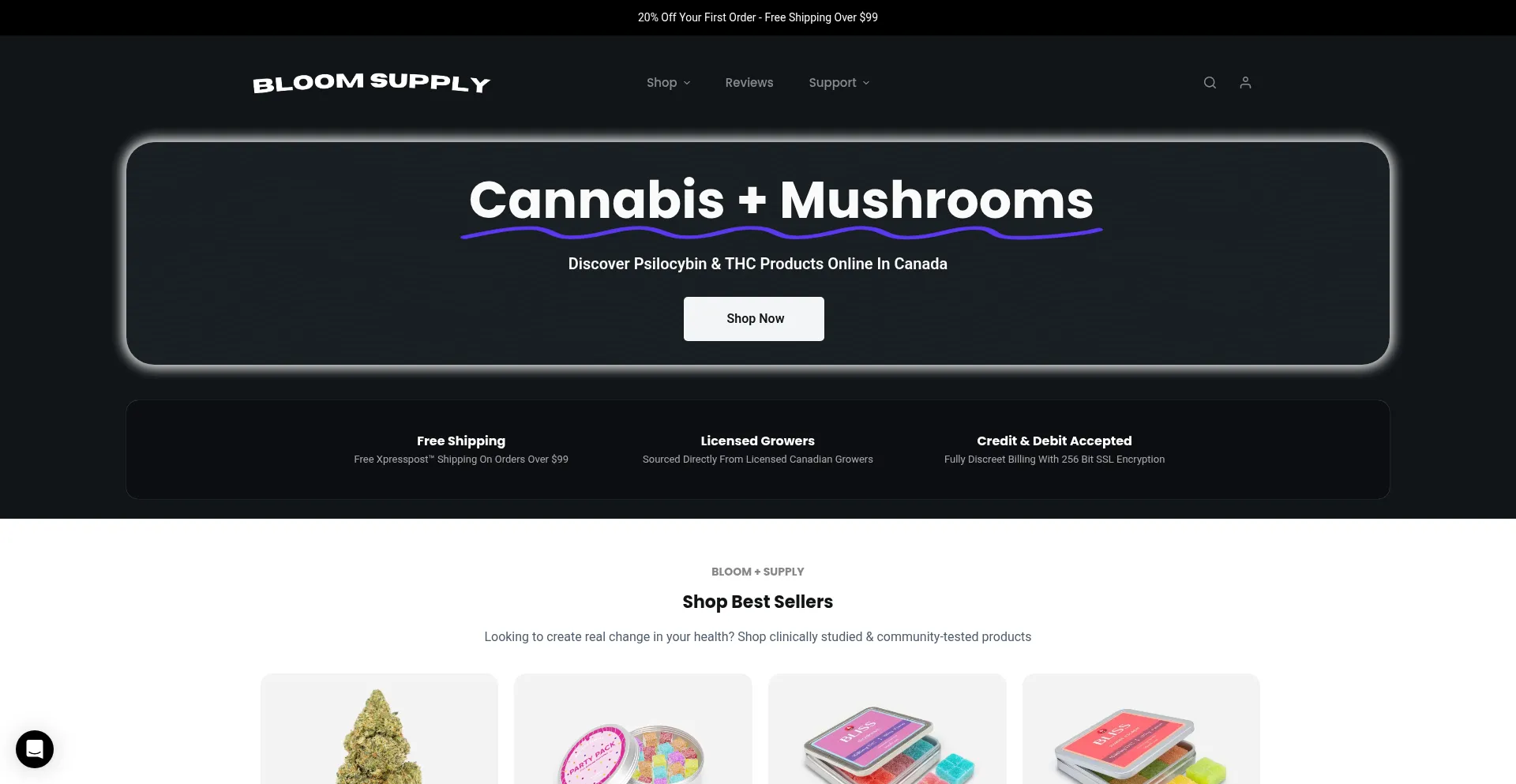 Website screenshot of Bloomsupply.se