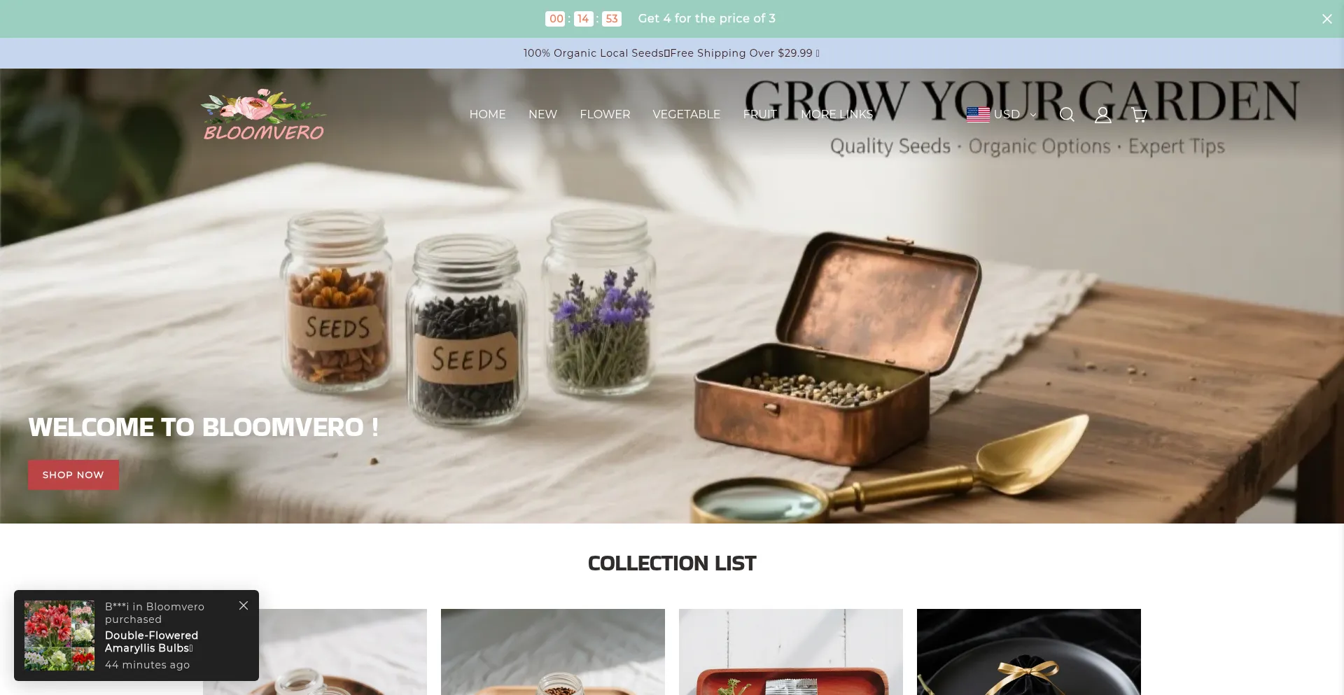 Bloomvero.com Screenshot