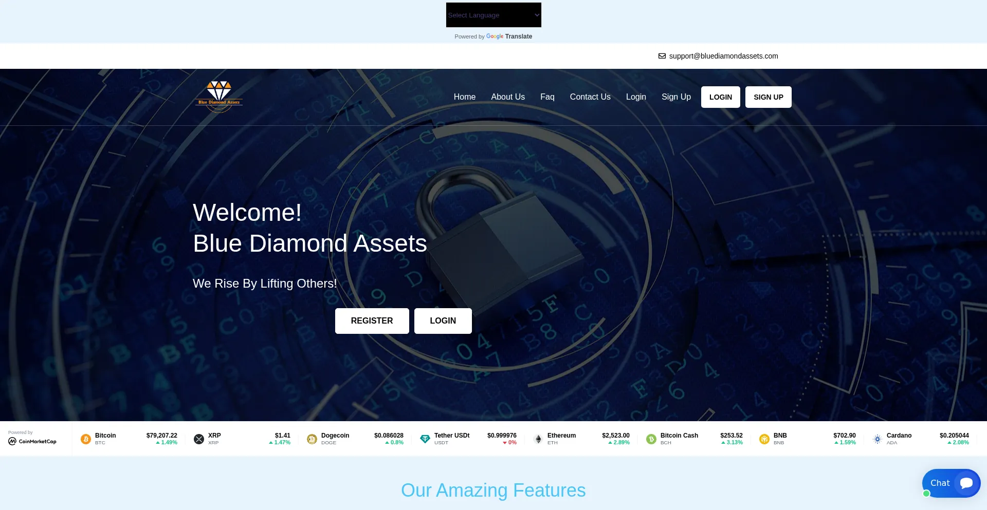 Bluediamondassets.com
