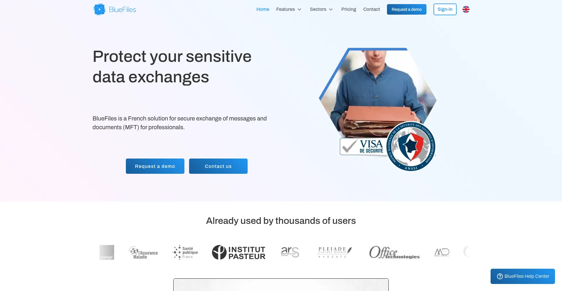 Website screenshot of Bluefiles.com