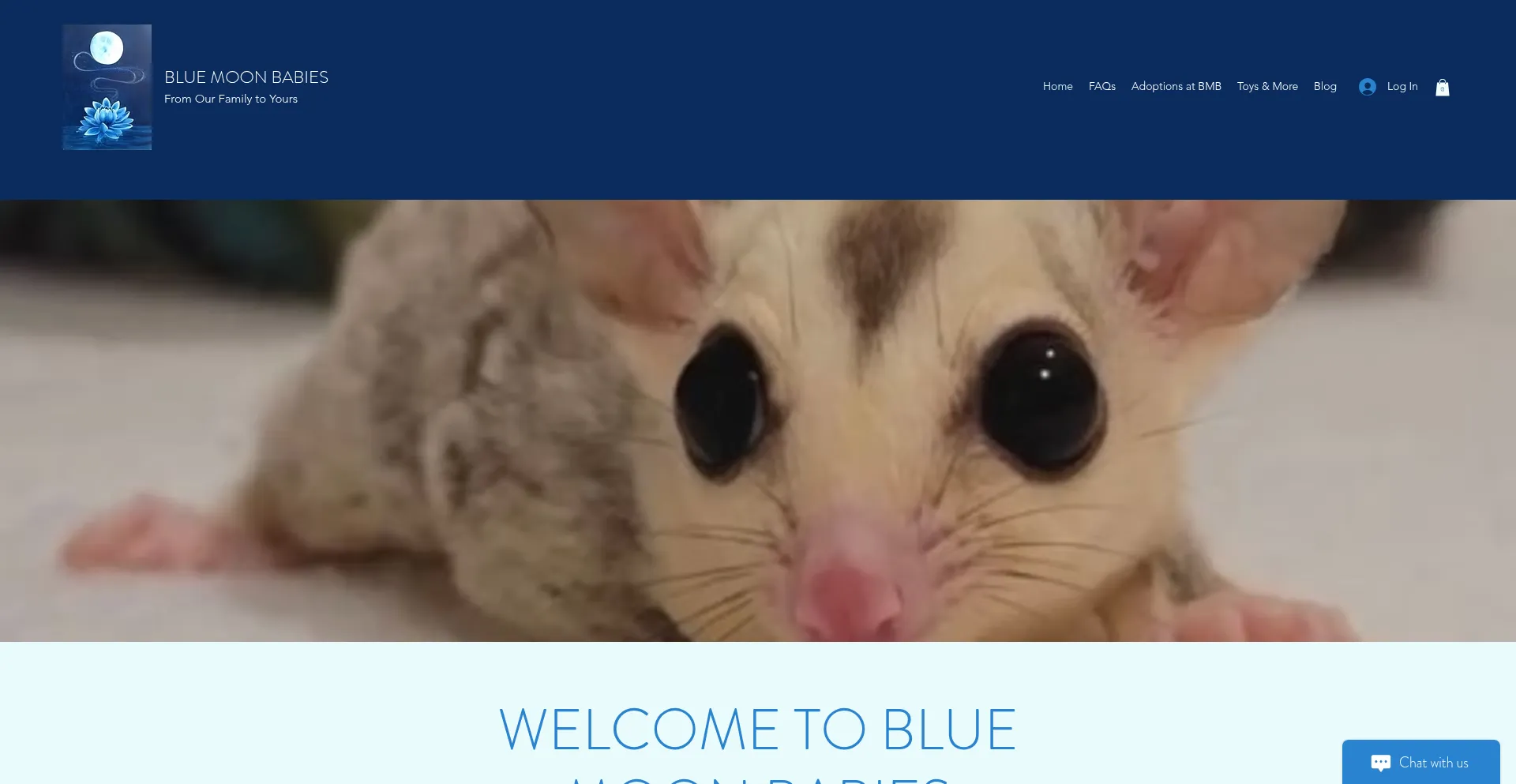 Bluemoonbabies.com 安全可靠吗？