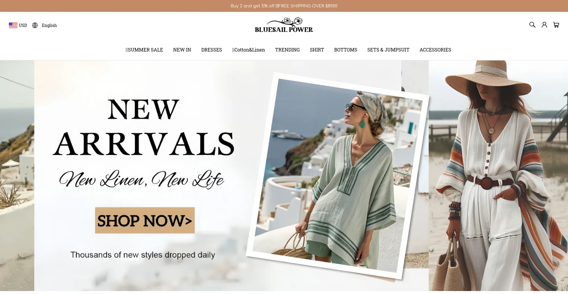 Website screenshot of Bluesailpower.com