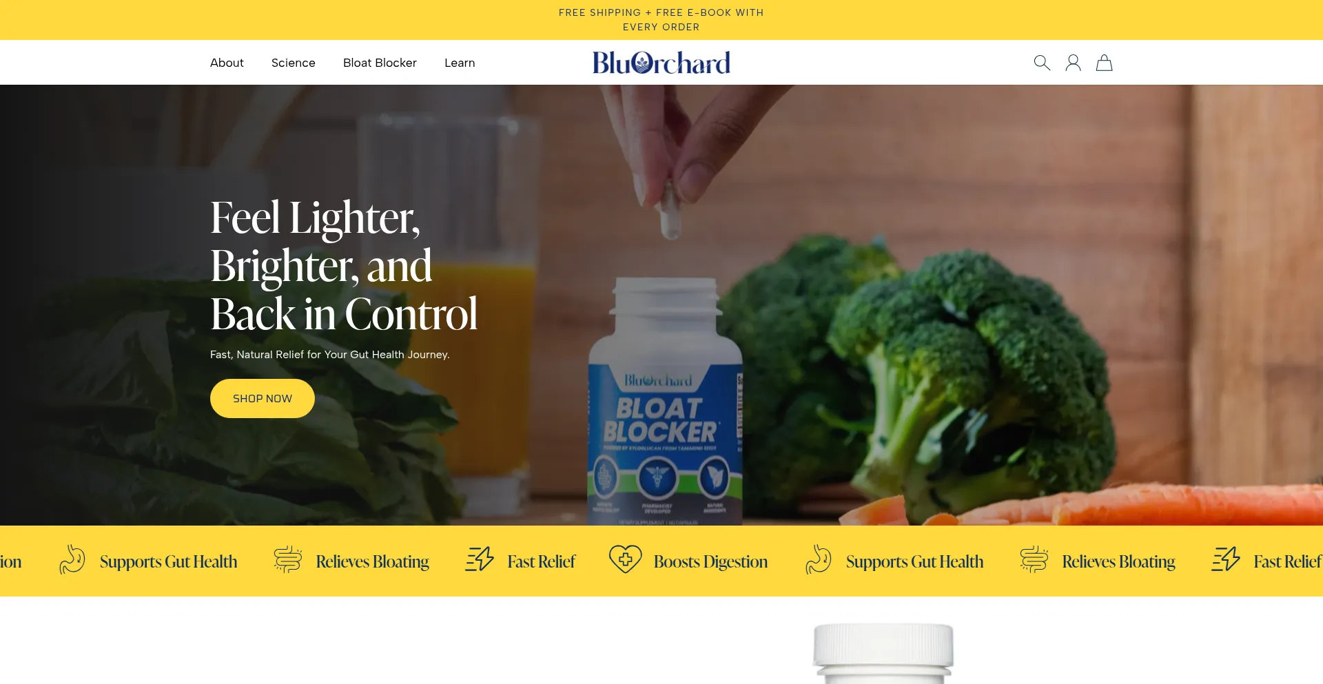 Website screenshot of Bluorchardwellness.com