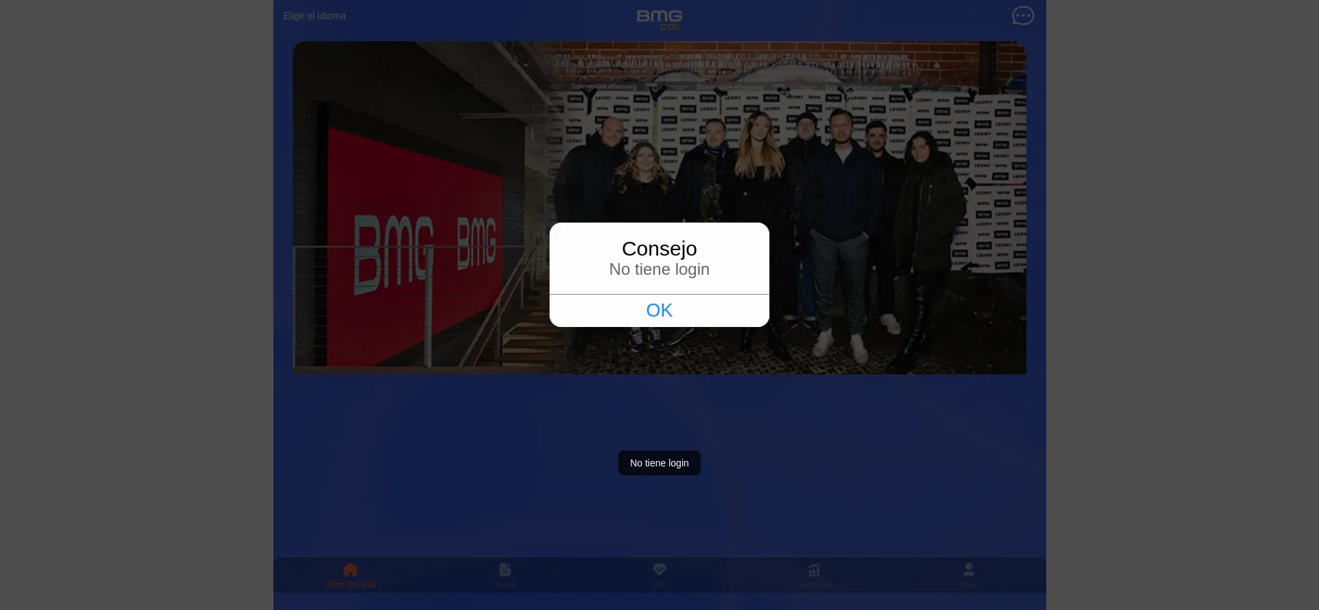 Website screenshot of Bmgjob.com