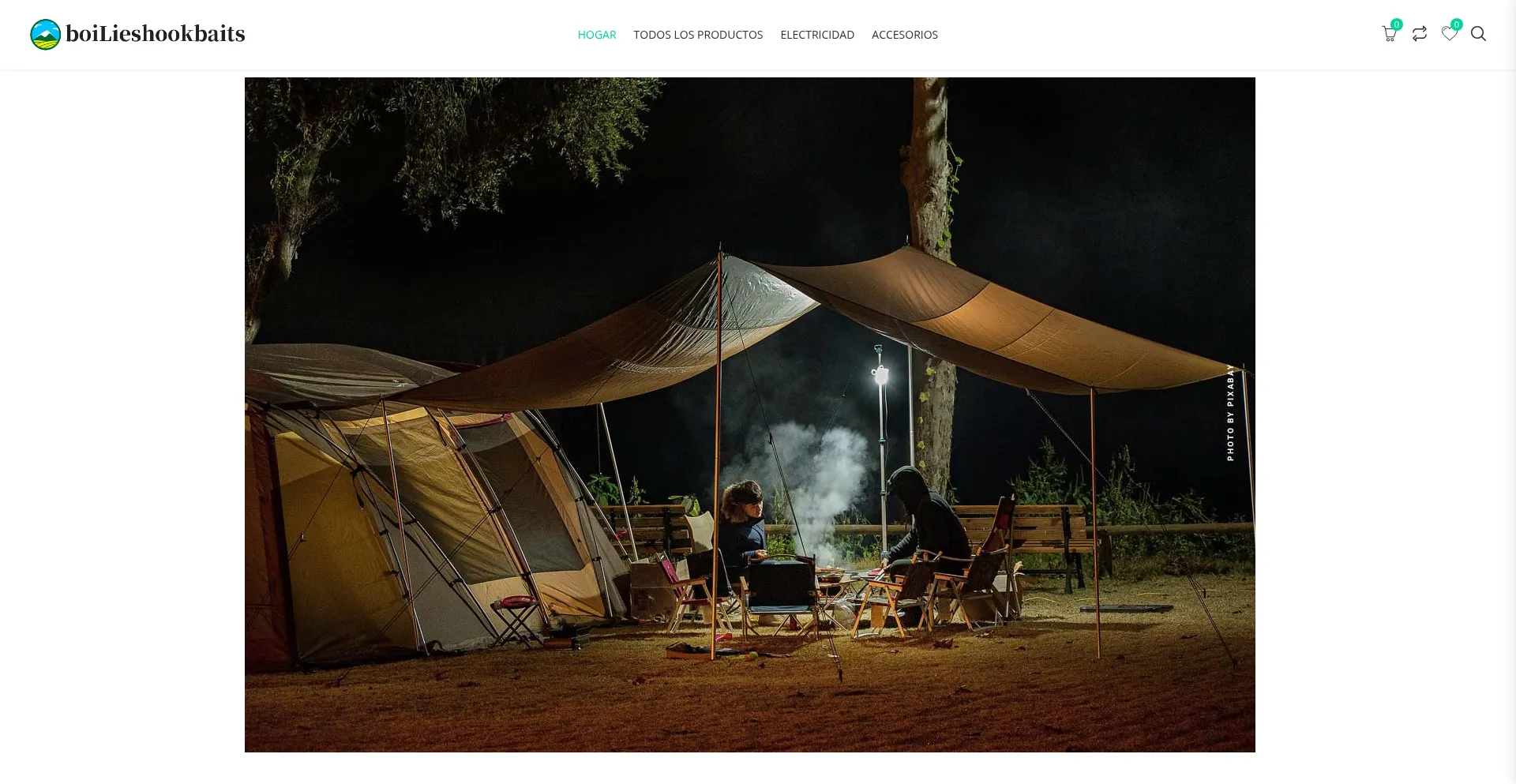Website screenshot of Boilieshookbaits.com