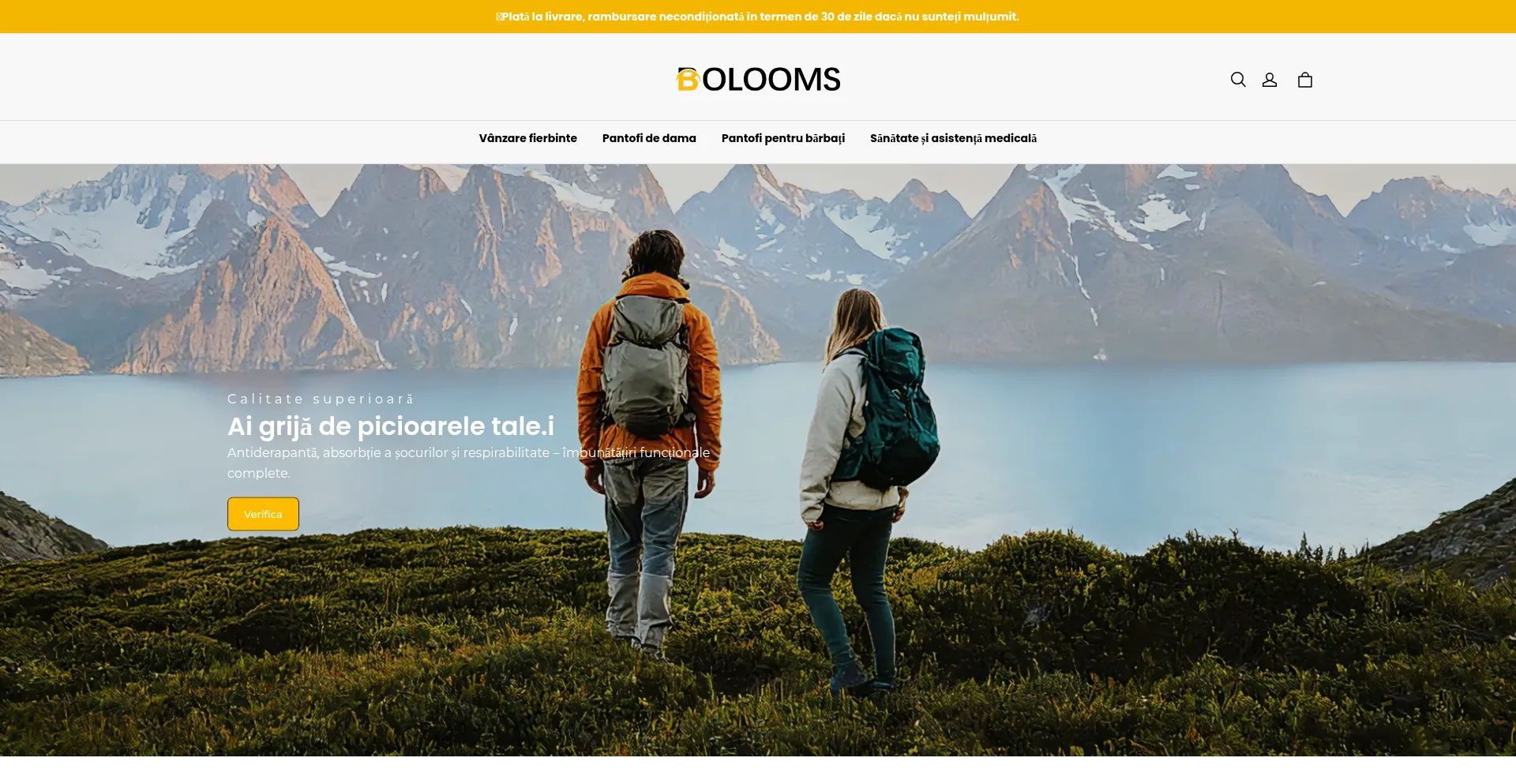 Bolooms.com