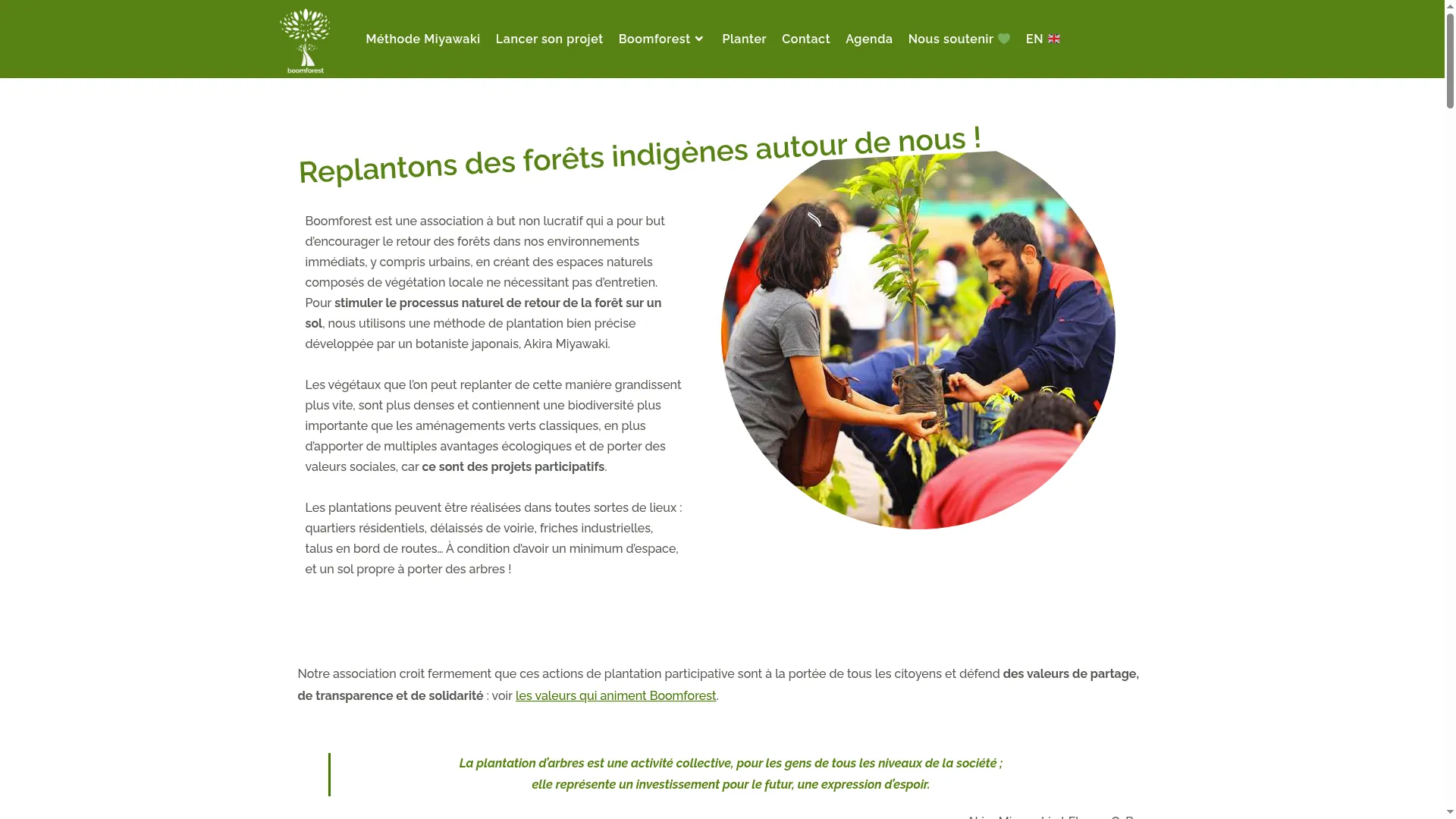 Boomforest.org