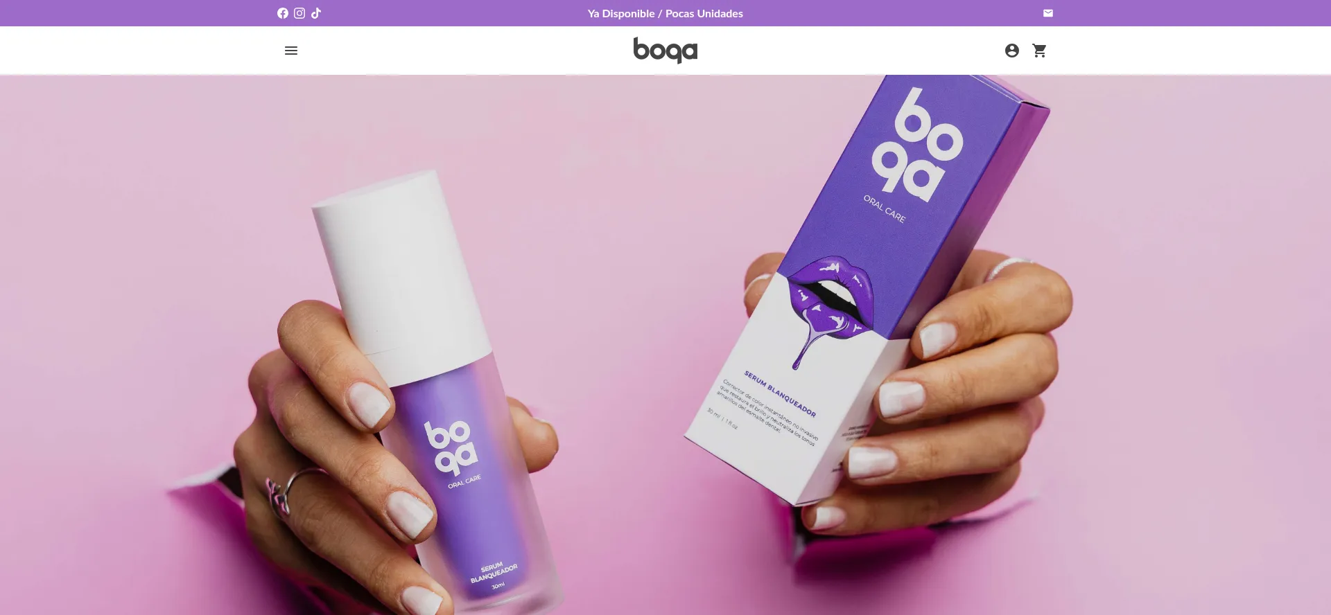 Website screenshot of Boqa.cl