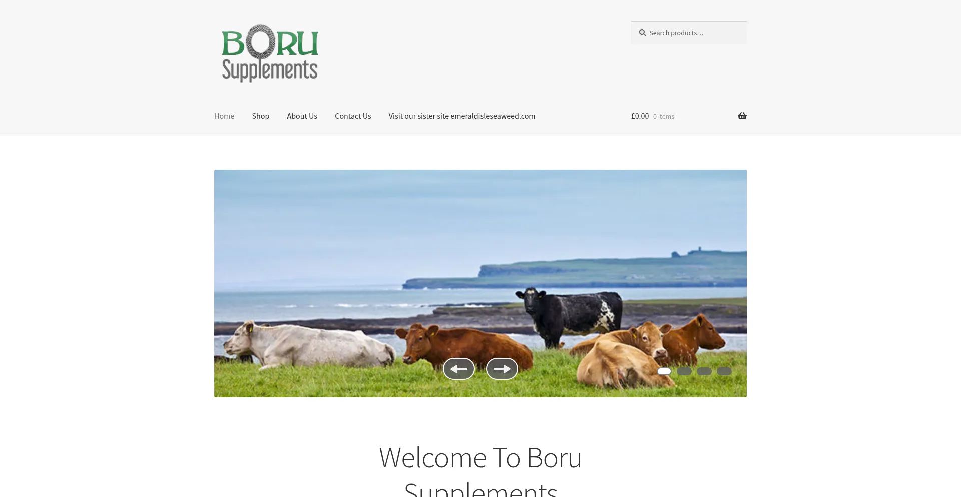 Borusupplements.com