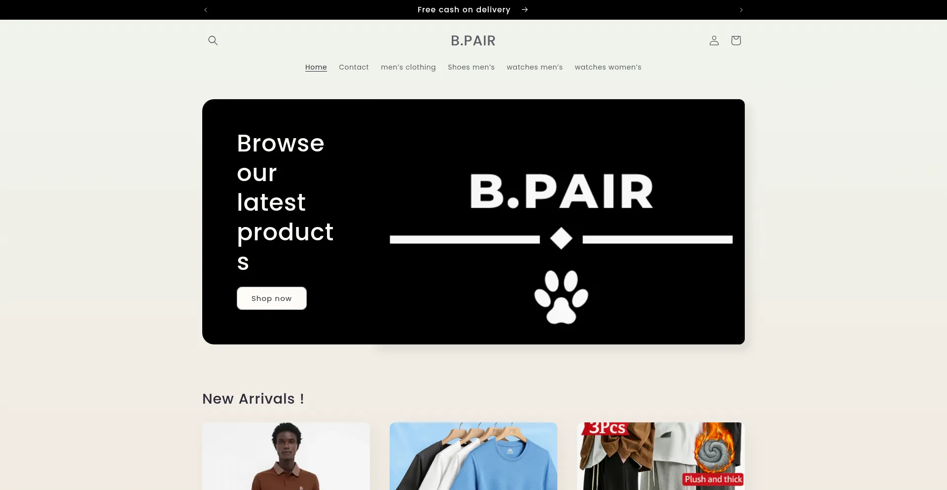 Website screenshot of Bpair.online