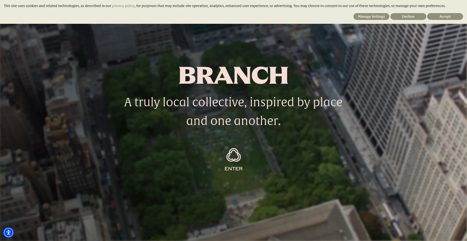 Website screenshot of Branchnewyork.com