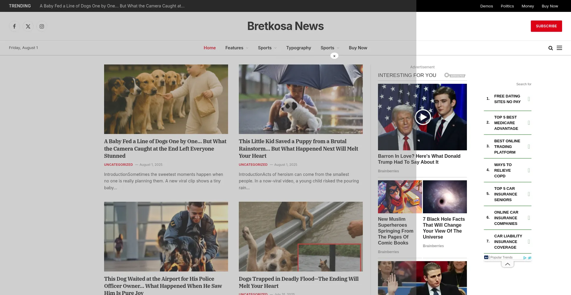 Website screenshot of Bretkosa.org