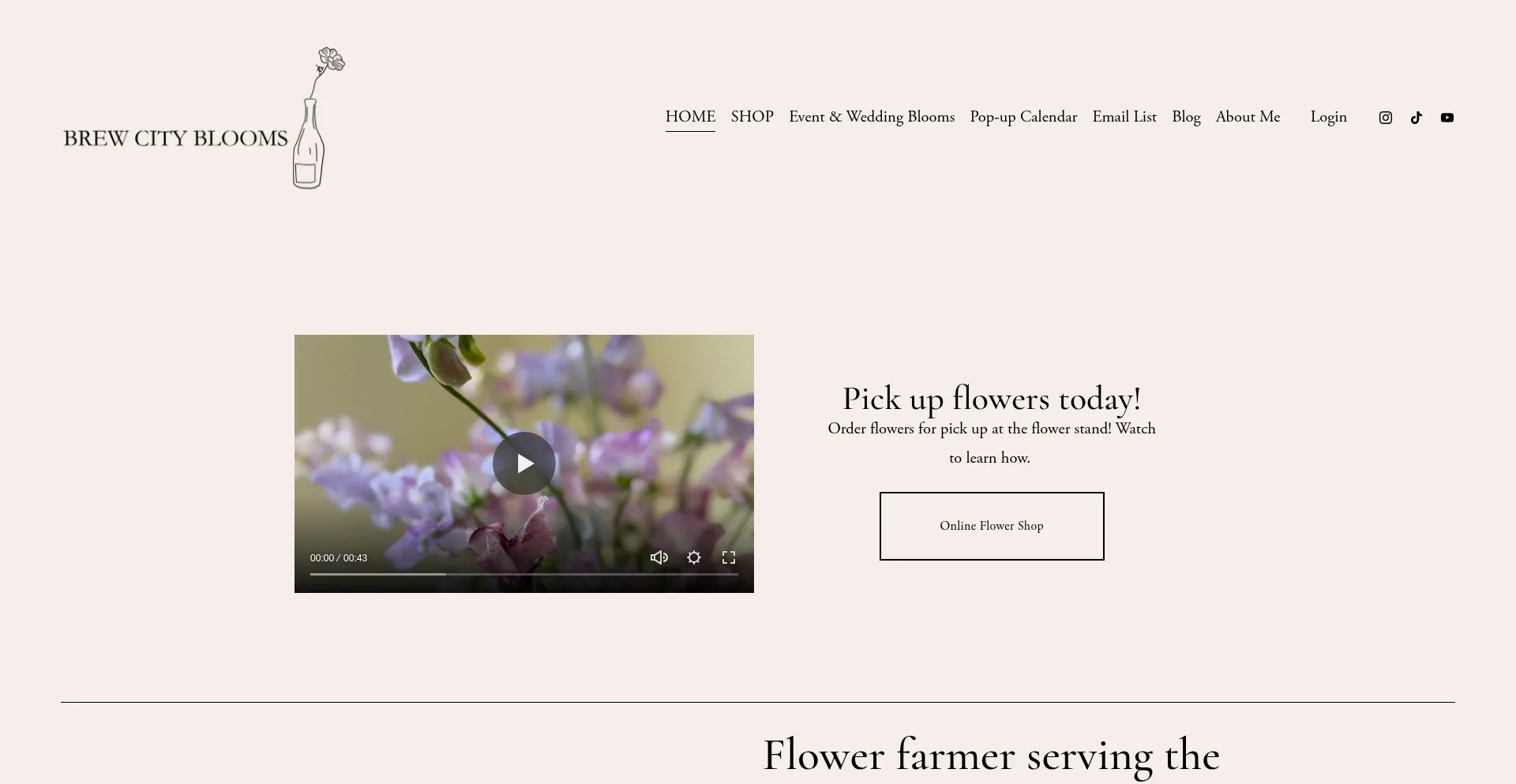 Website screenshot of Brewcityblooms.org