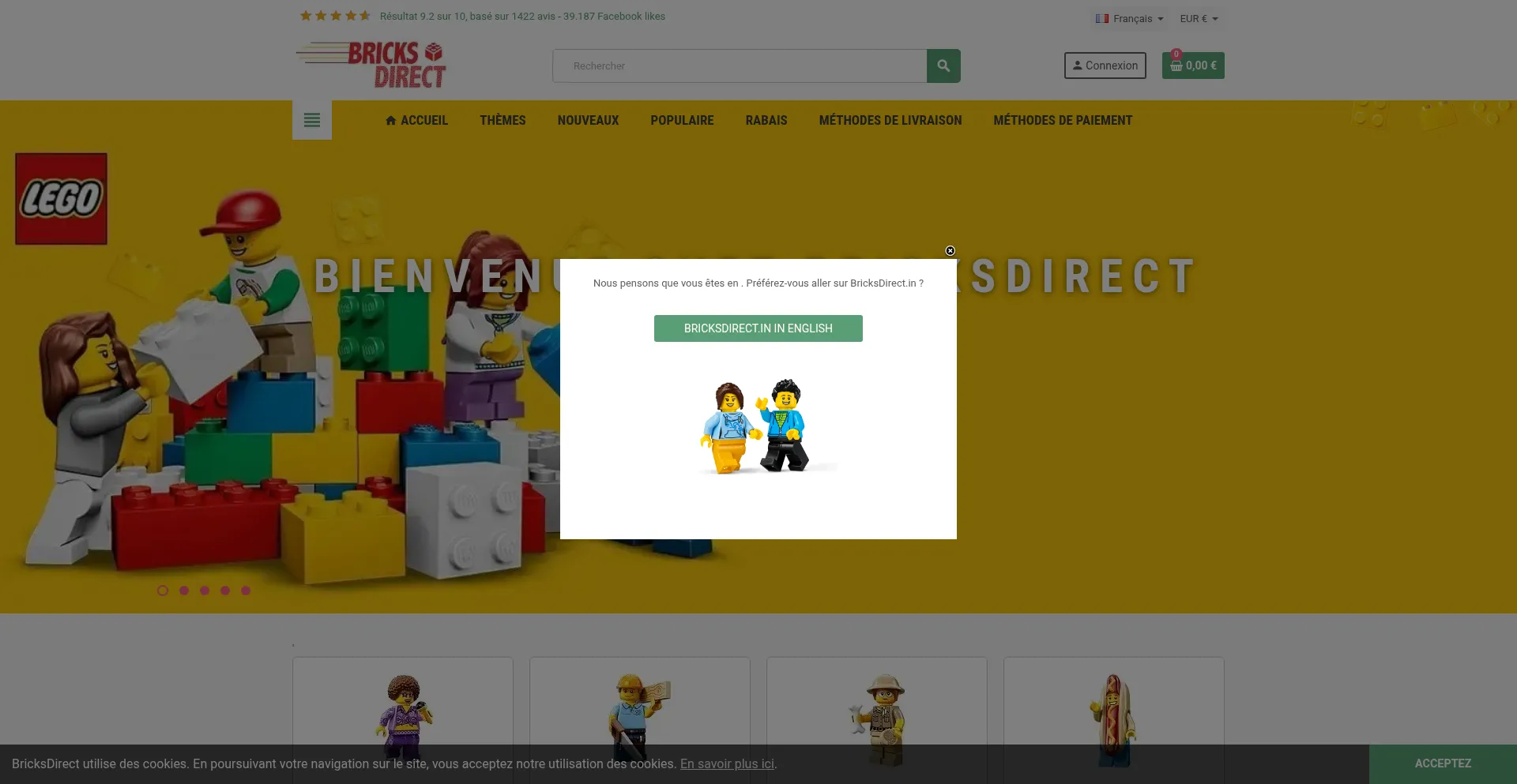 Website screenshot of Bricksdirect.fr