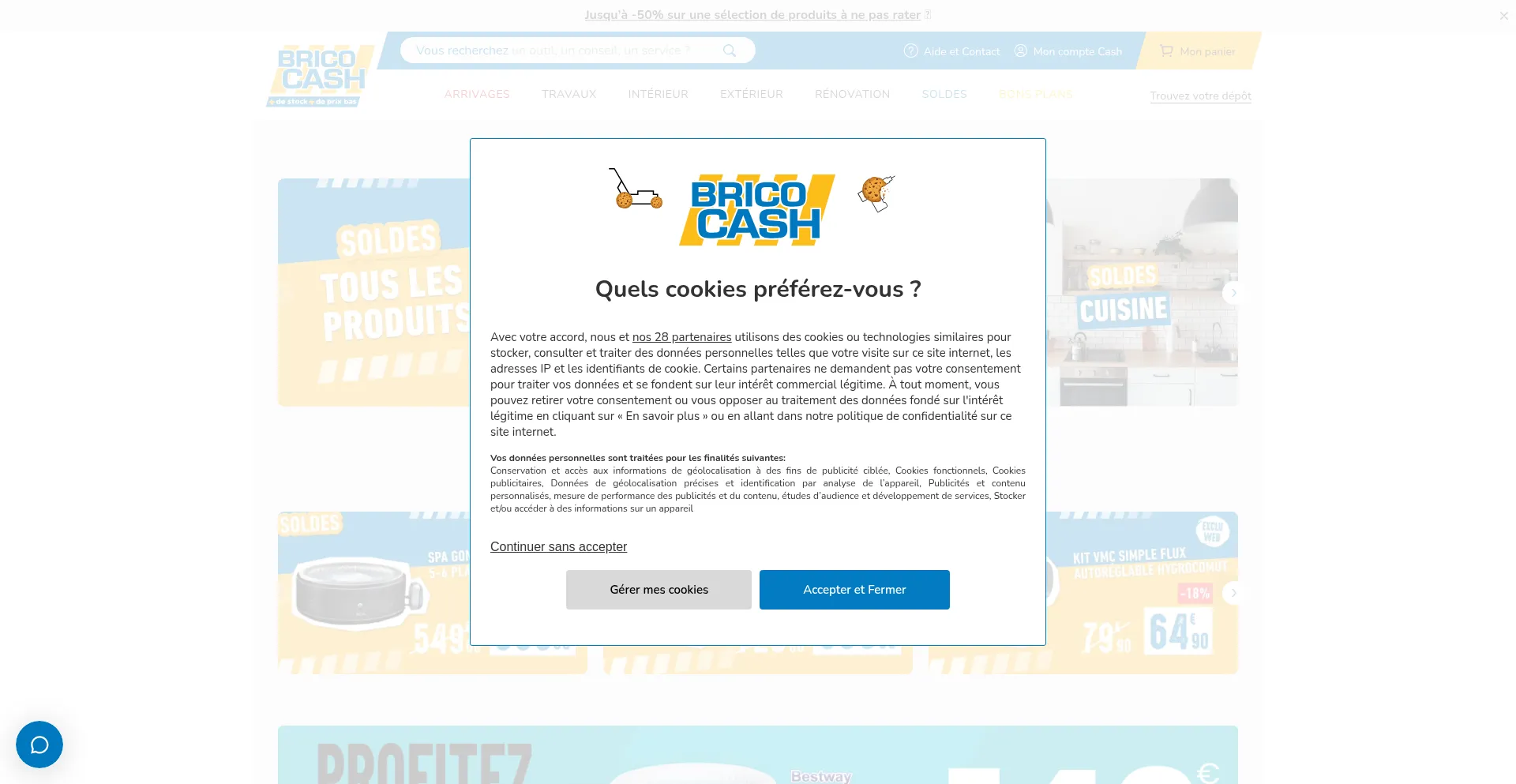 Website screenshot of Bricocash.fr
