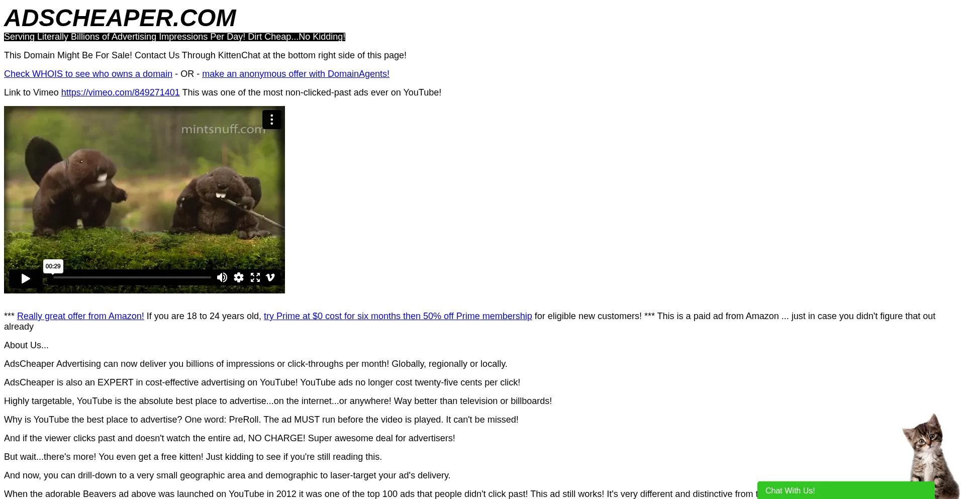 Website screenshot of Brillinta.com