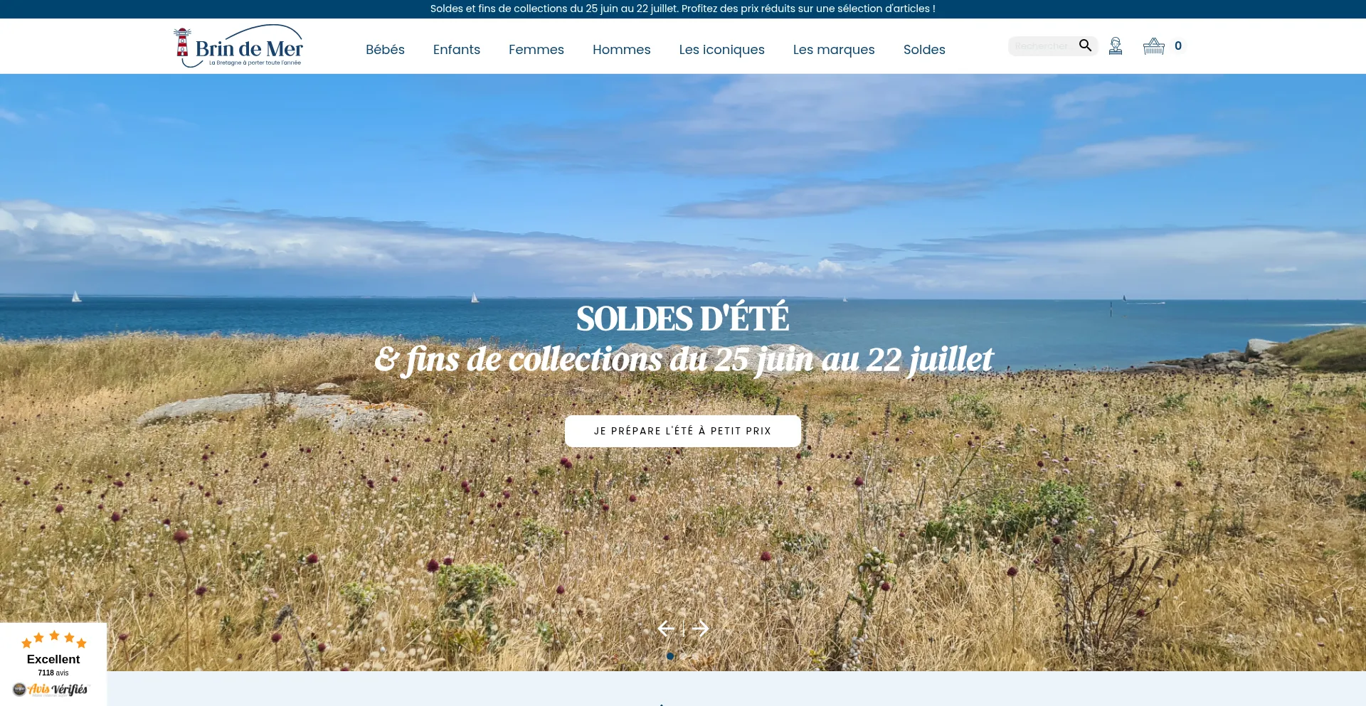 Website screenshot of Brindemer.fr