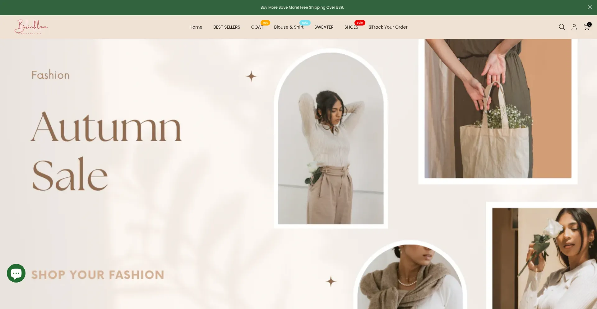 Website screenshot of Brinklove.shop