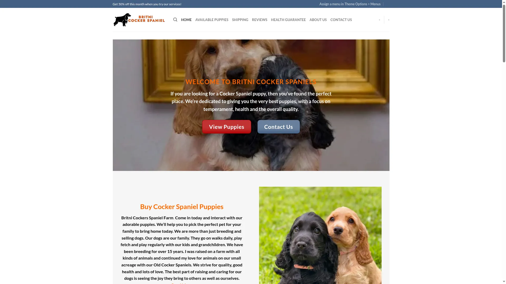 Britnicockerspaniels.com