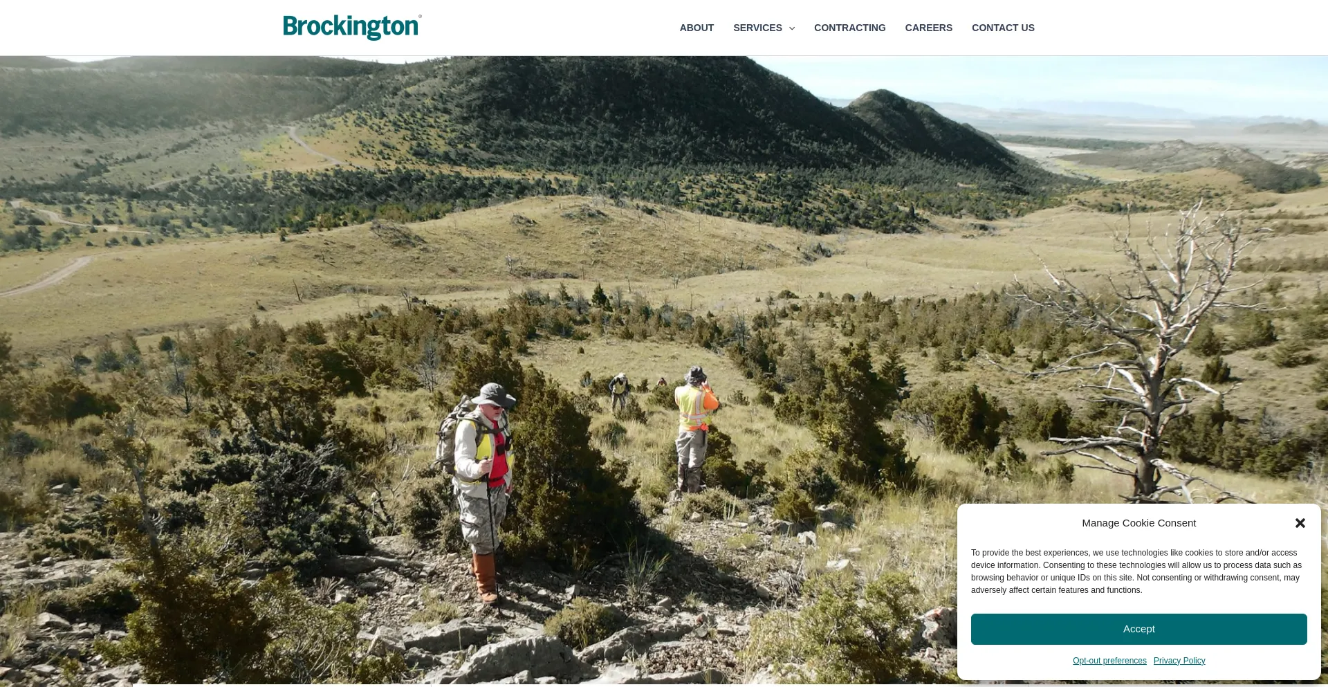 Website screenshot of Brockingtoncrm.com