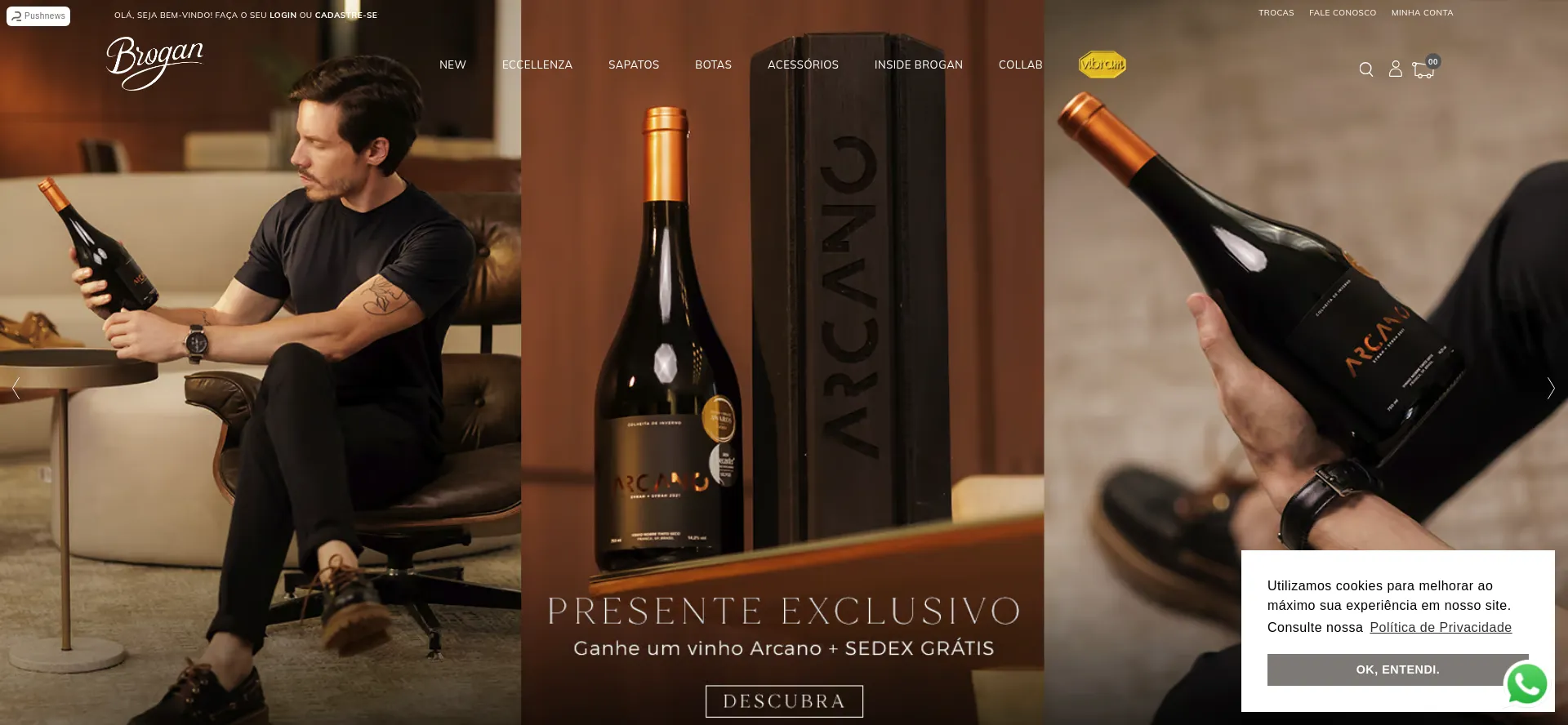 Website screenshot of Brogan.com.br