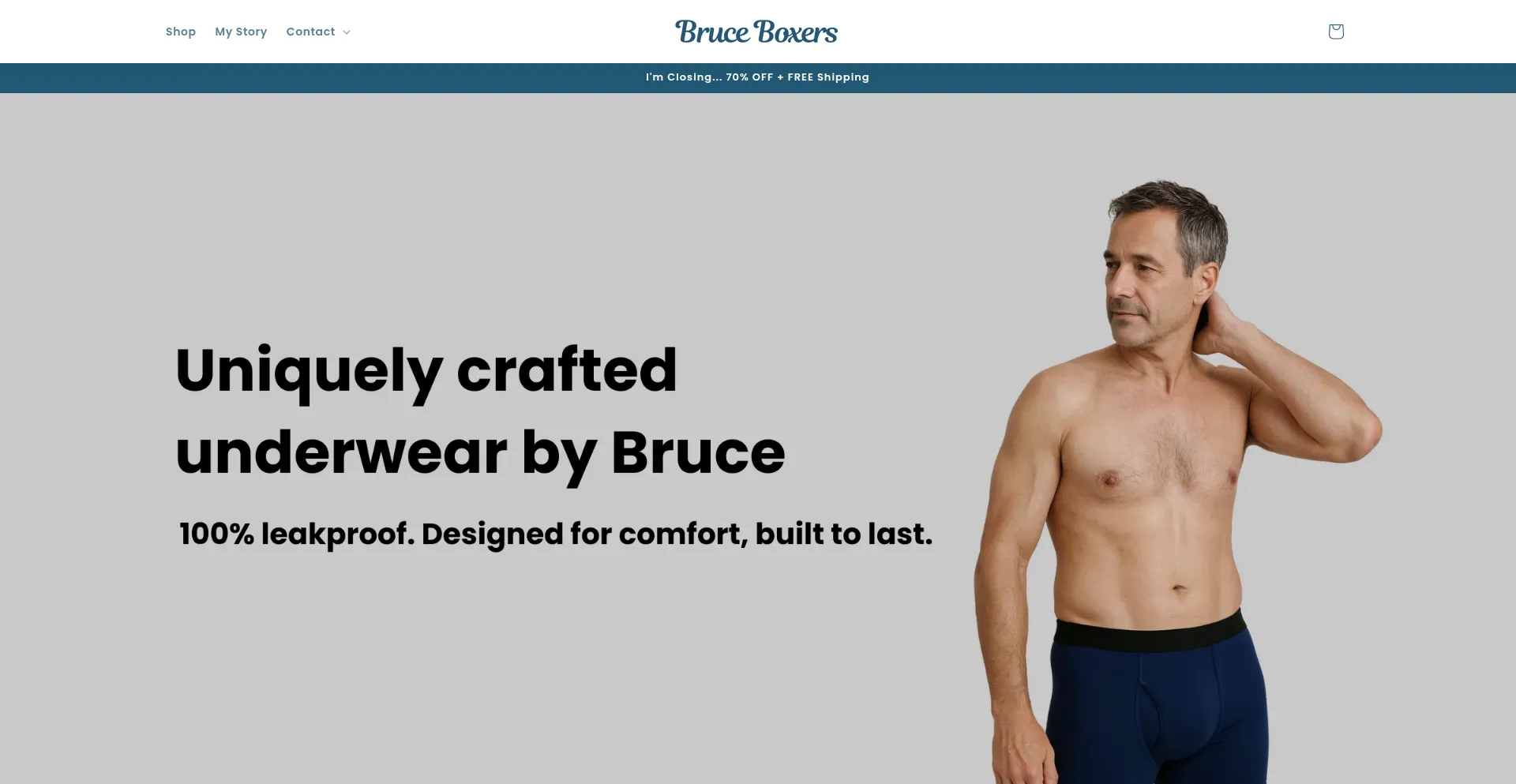 Bruceboxers.com Screenshot
