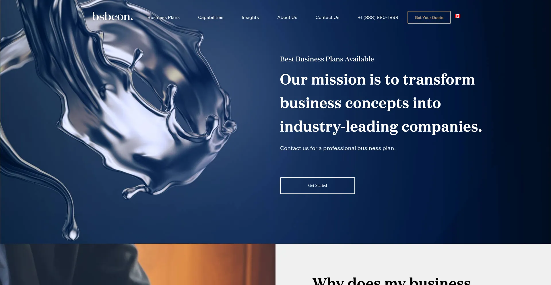 Website screenshot of Bsbcon.com