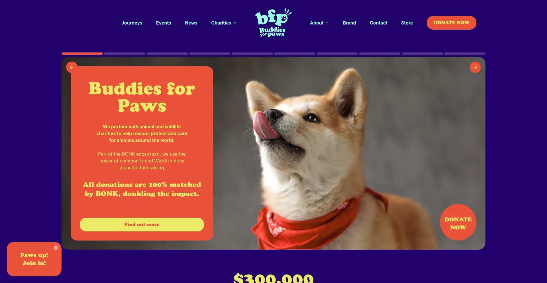 Website screenshot of Buddiesforpaws.org