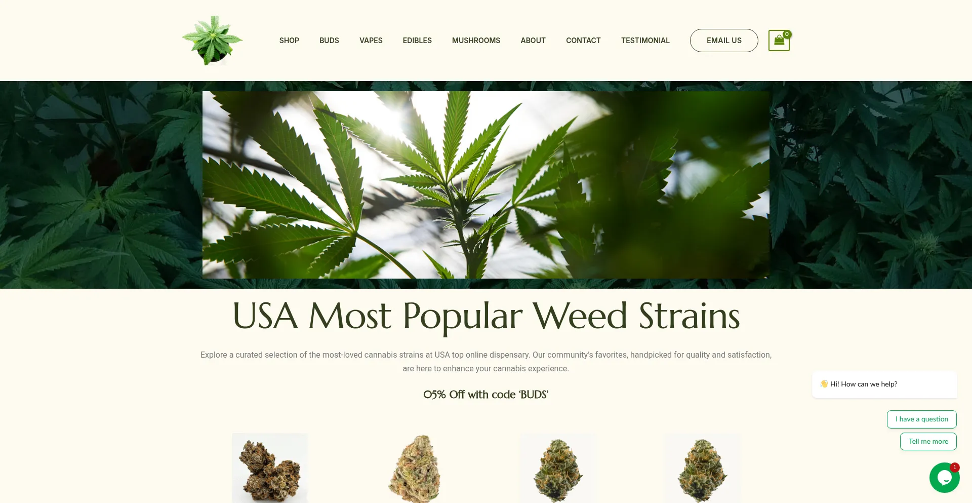 Budslane.com 安全可靠吗？