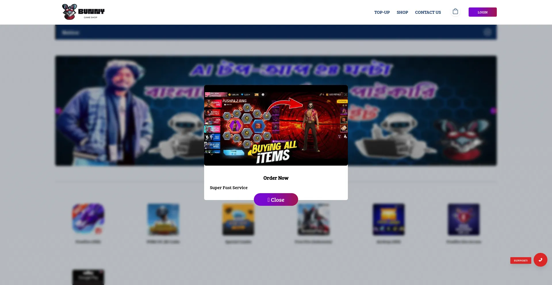 Website screenshot of Bunnygameshop.com