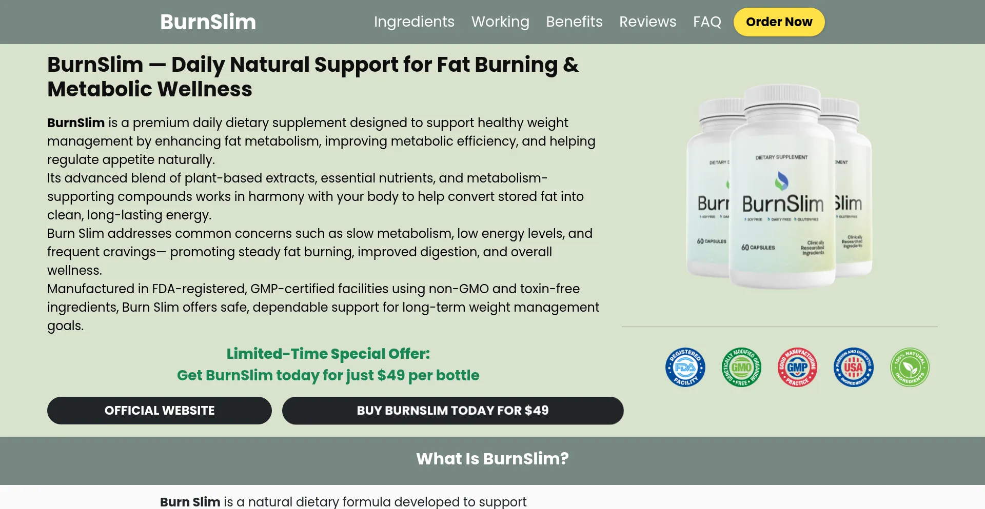 Burnsllim.com