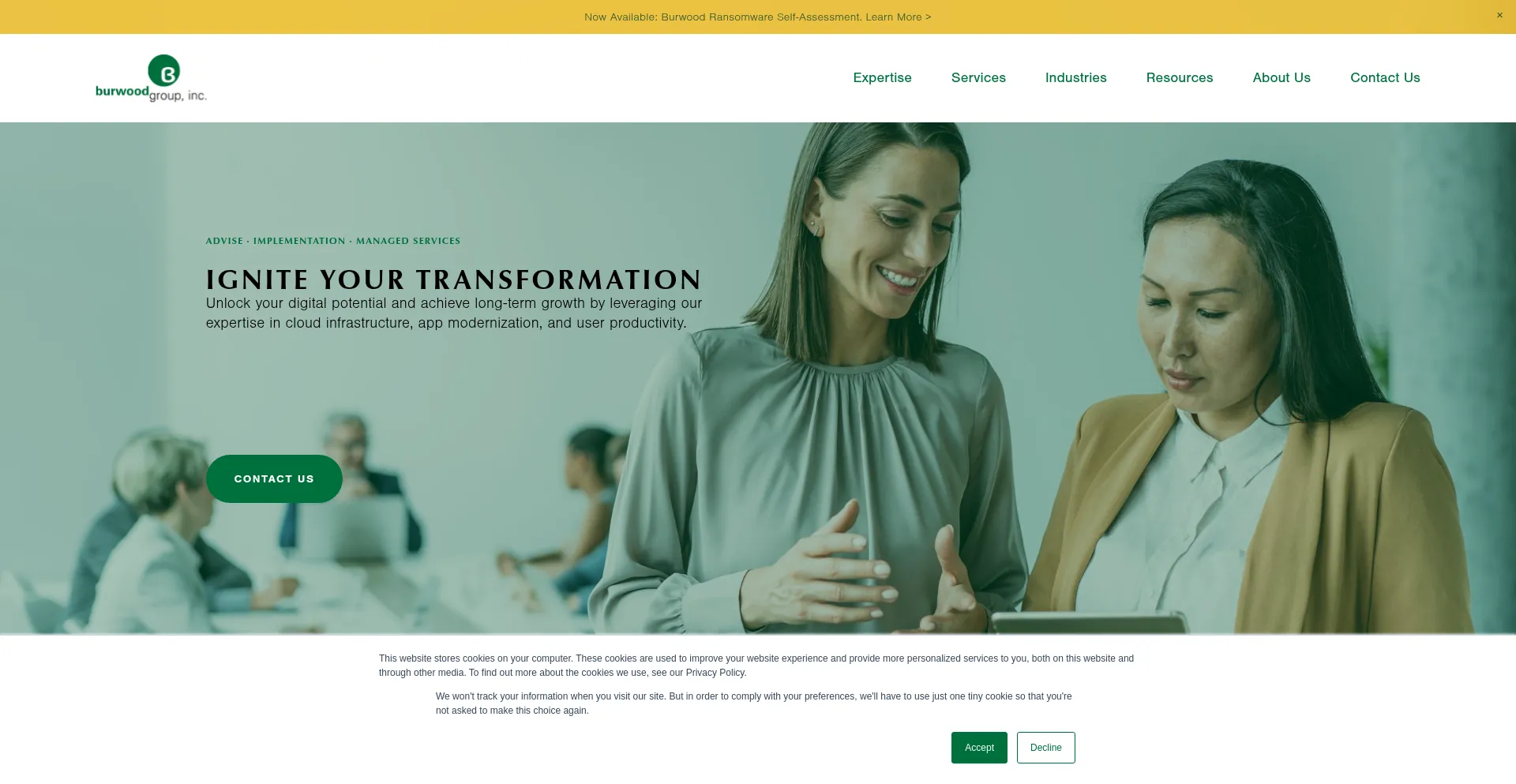 Website screenshot of Burwood.com