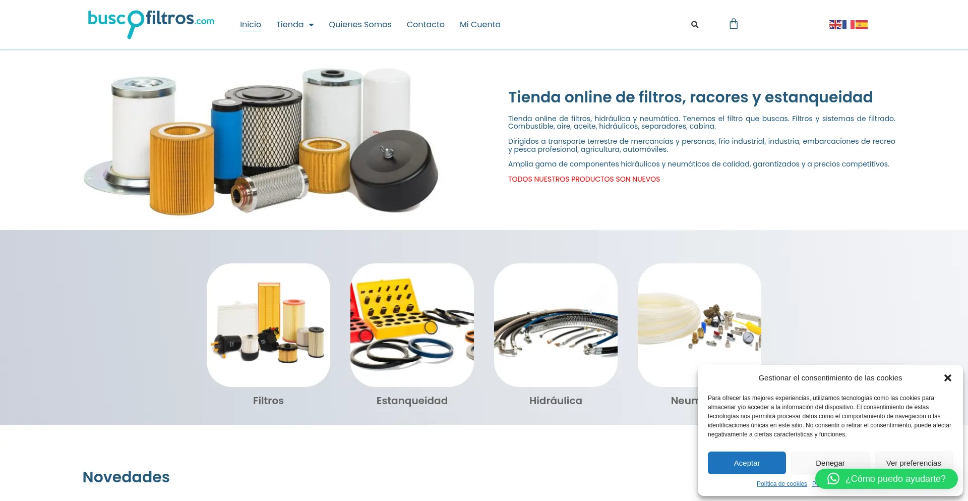 Website screenshot of Buscofiltros.com