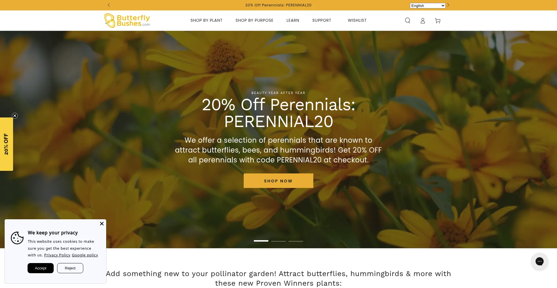 Butterflybushes.com