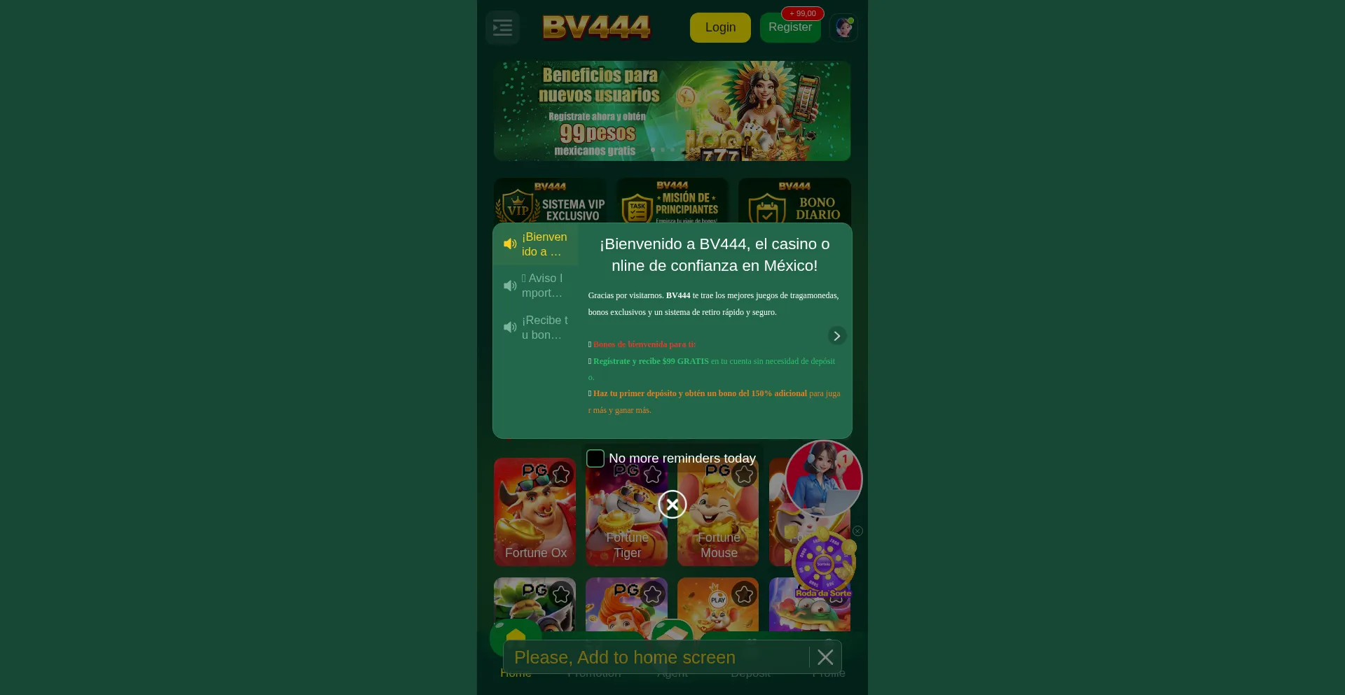 Website screenshot of Bv444.ceo