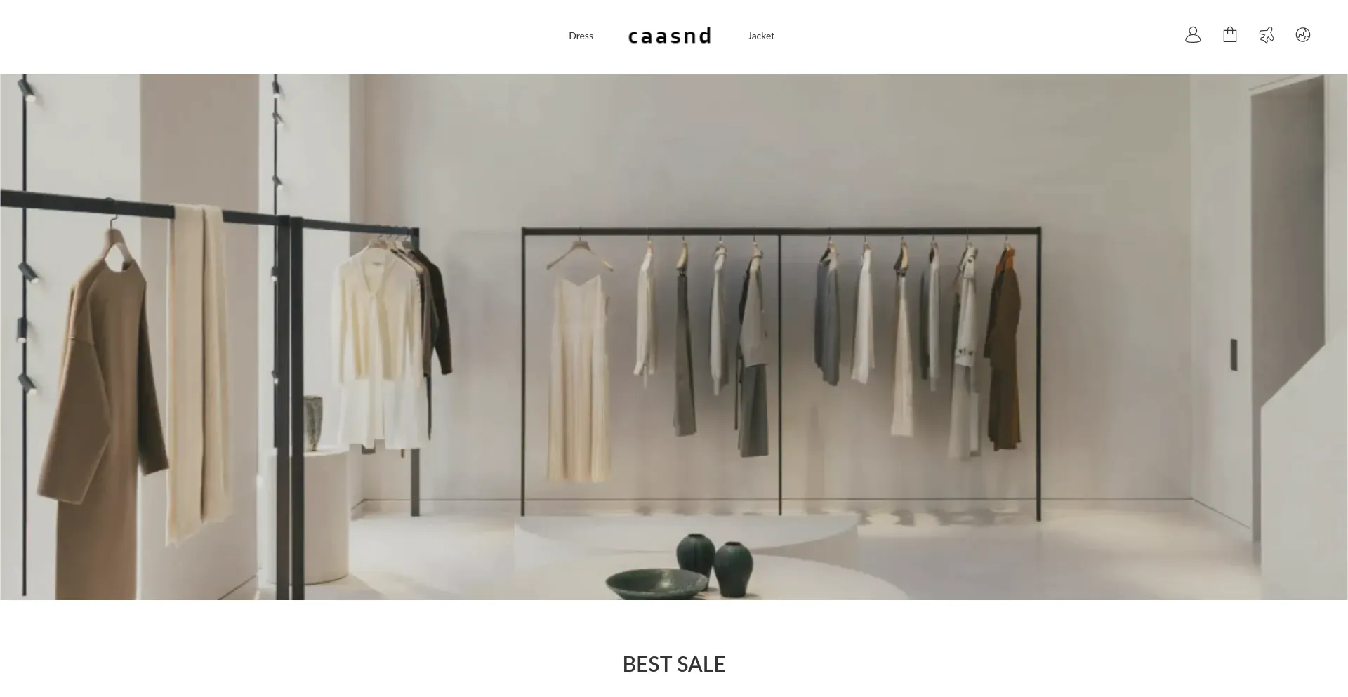 Website screenshot of Caasnd.com