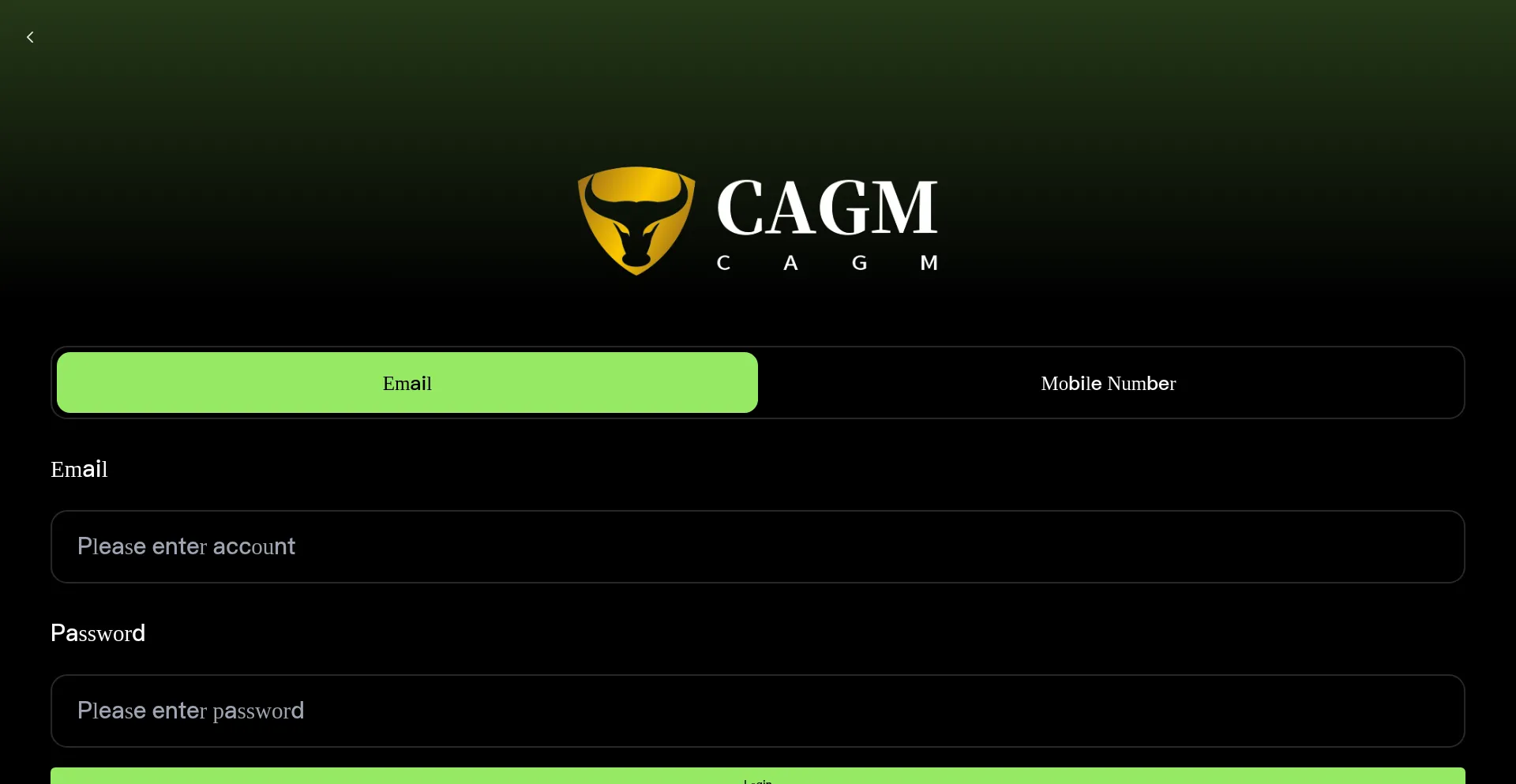 Website screenshot of Cagm-web3.com