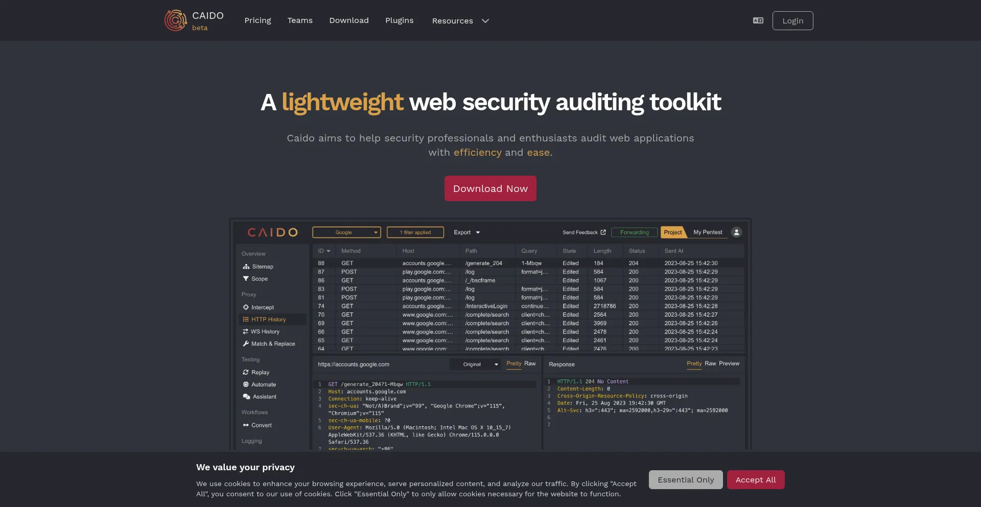 Website screenshot of Caido.io